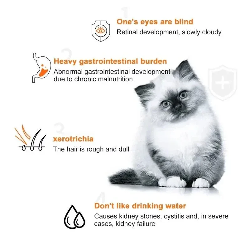 10 adet Kedi Şeritleri Evcil H - Food Snacks Label incelemesi ve fiyatı