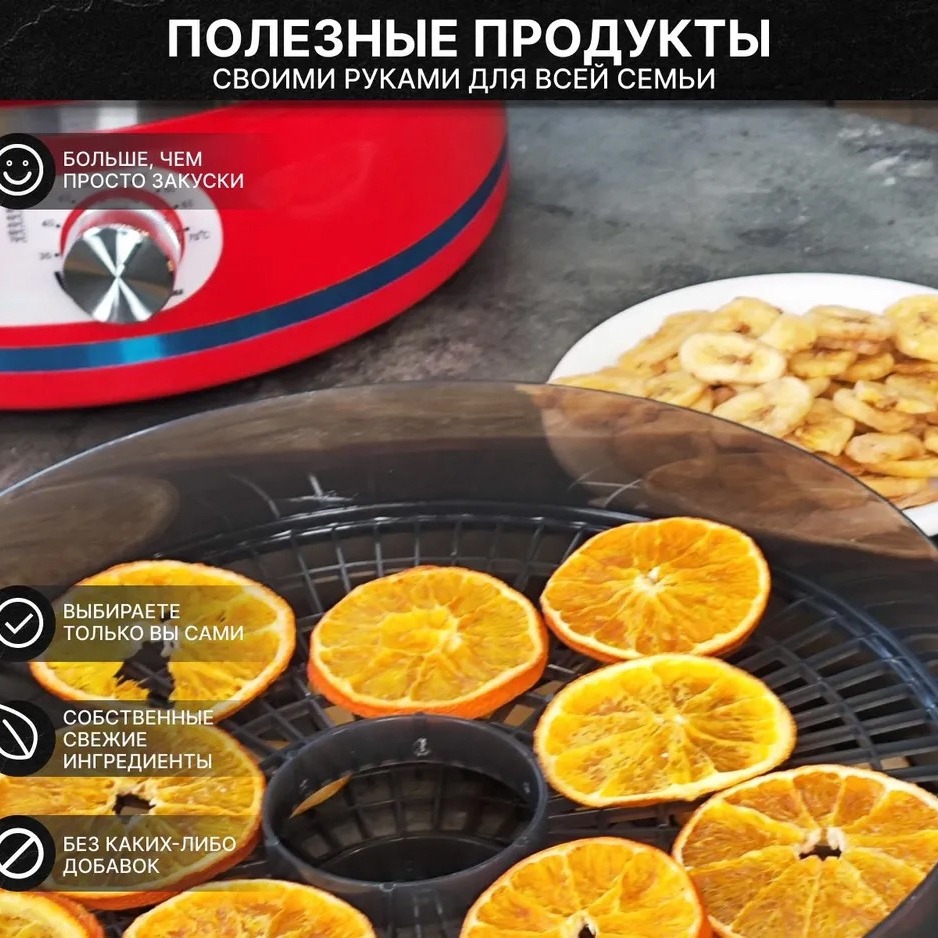 Ev tipi küçük meyve kurutma ma - Food Dehydrator Snacks incelemesi ve fiyatı